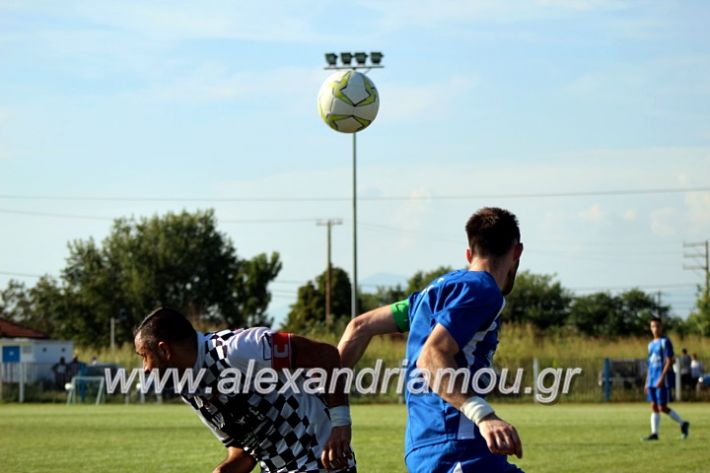 alexandriamou.gr_paokalexandriaslianobergi2019IMG_4675