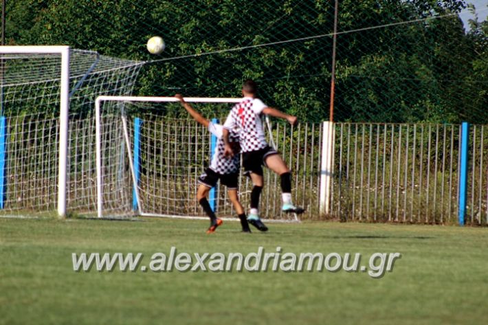 alexandriamou.gr_paokalexandriaslianobergi2019IMG_4705