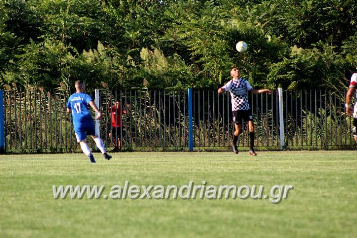 alexandriamou.gr_paokalexandriaslianobergi2019IMG_4733