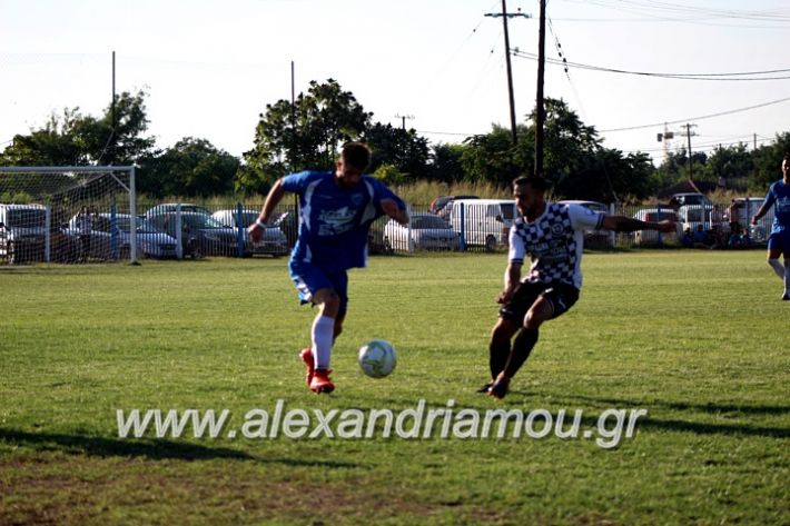 alexandriamou.gr_paokalexandriaslianobergi2019IMG_4744