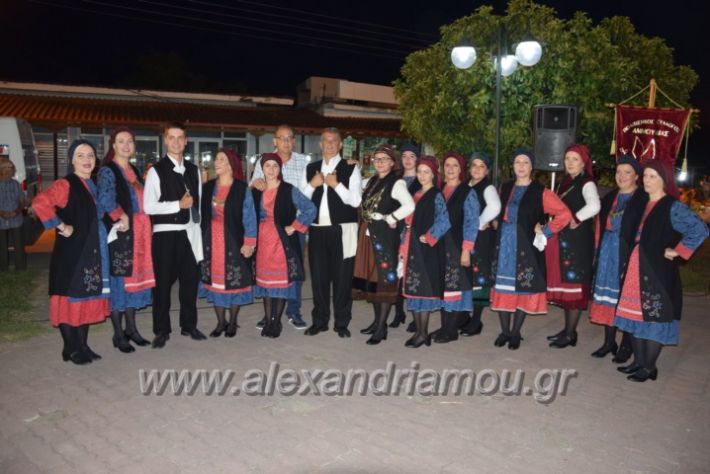 alexandriamou.gr_lianovergi20180013