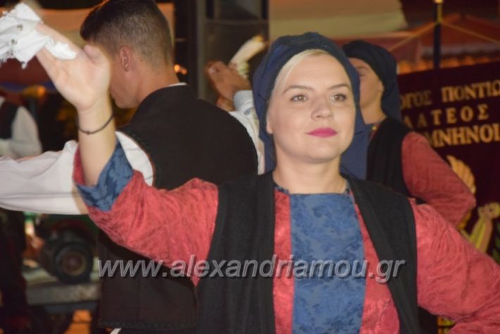 alexandriamou.gr_lianovergi20180035