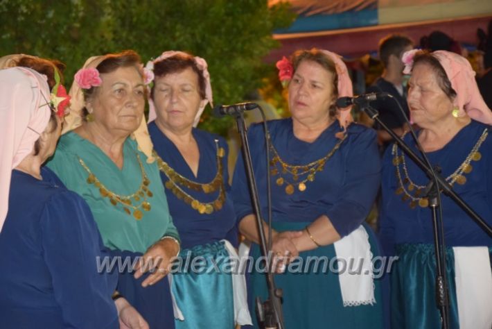 alexandriamou.gr_lianovergi20180055