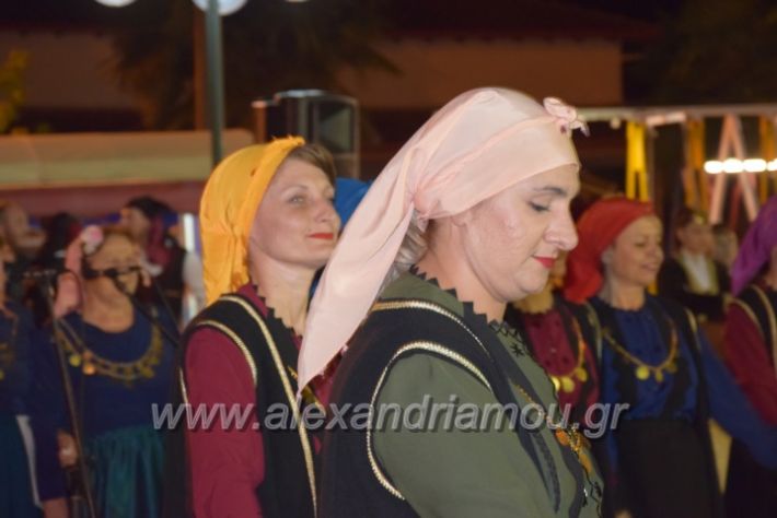 alexandriamou.gr_lianovergi20180065