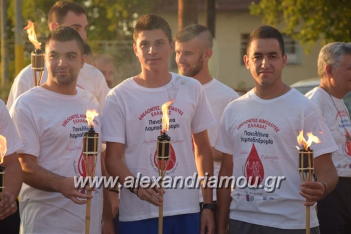 alexandriamou_lamp20006