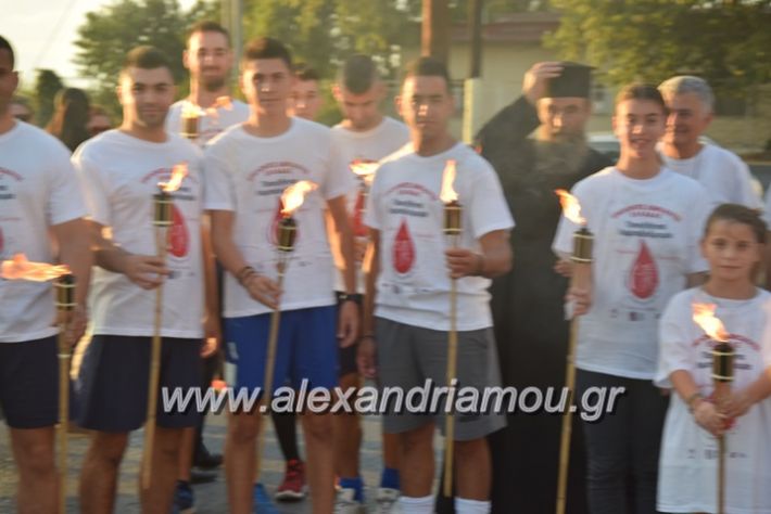 alexandriamou_lamp20014