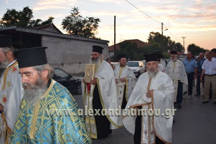 alexandriamou.gr_lianovergi177032