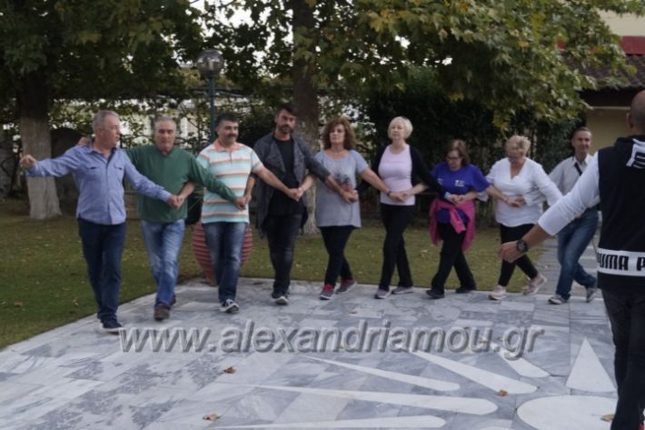 alexandriamou.gr_lonap_agiasmos201827