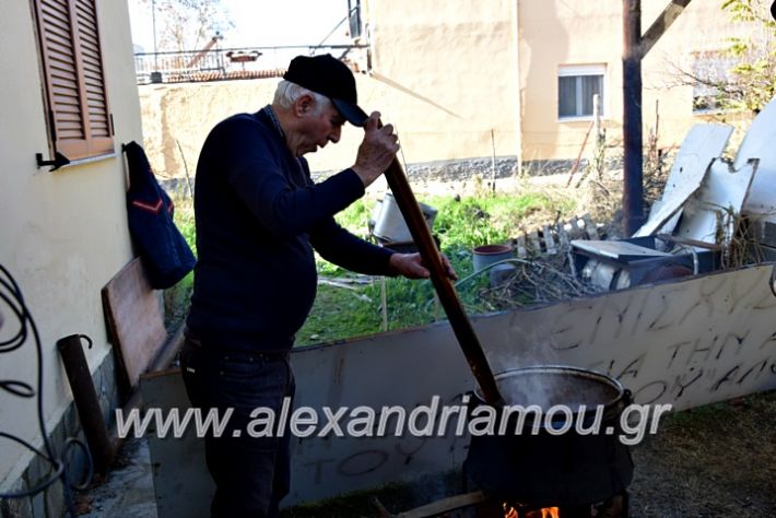 alexandriamou.gr_lonapgrounoxara19DSC_0087