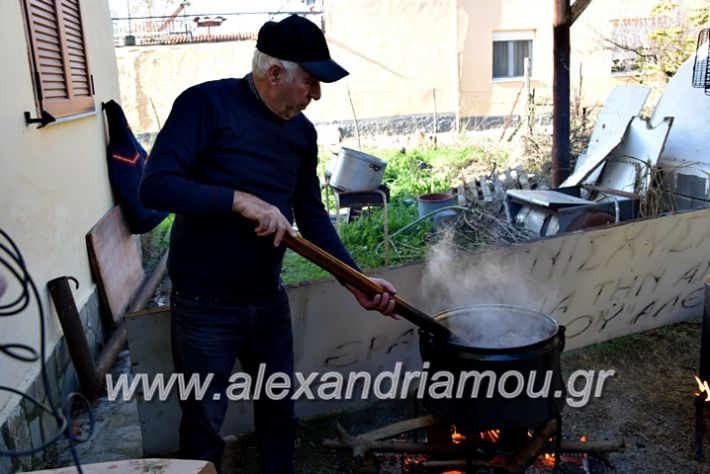 alexandriamou.gr_lonapgrounoxara19DSC_0088