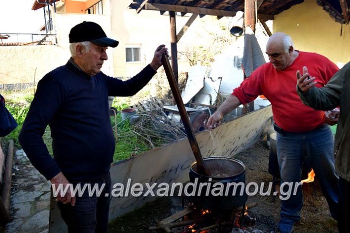 alexandriamou.gr_lonapgrounoxara19DSC_0094