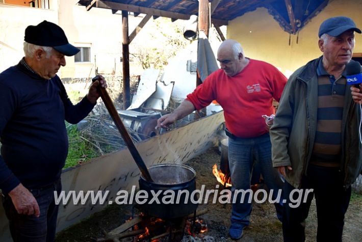 alexandriamou.gr_lonapgrounoxara19DSC_0095