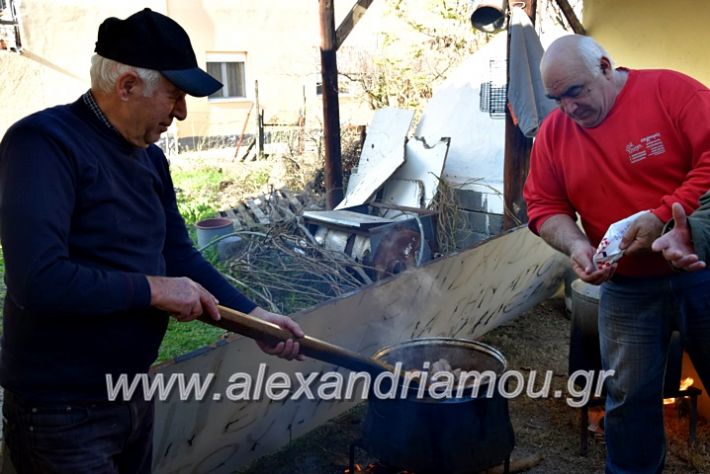 alexandriamou.gr_lonapgrounoxara19DSC_0096