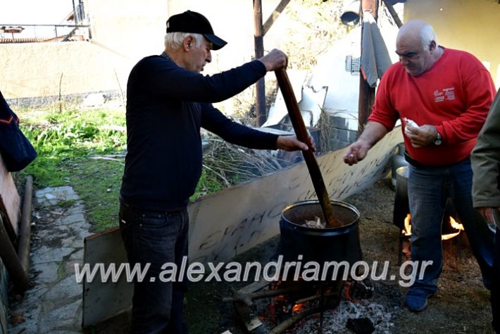 alexandriamou.gr_lonapgrounoxara19DSC_0097