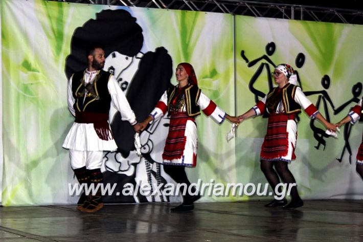 alexandriamou.gr_agiosalexandros20191IMG_4426