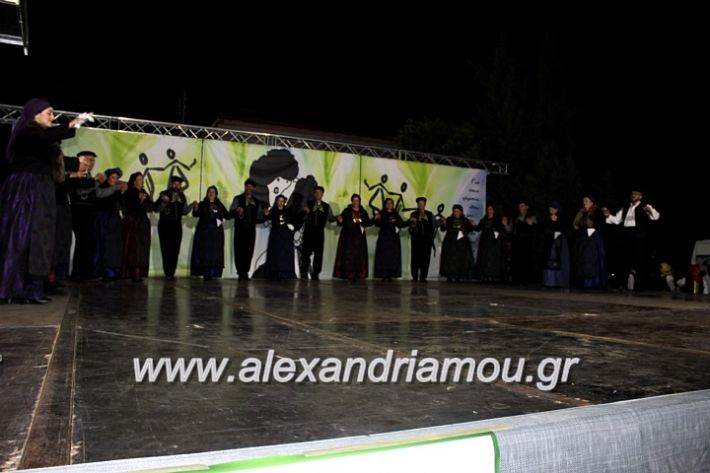 alexandriamou.gr_agiosalexandros20191IMG_4511