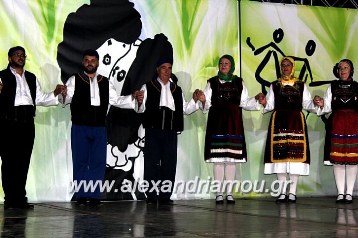 alexandriamou.gr_agiosalexandros20191IMG_4541