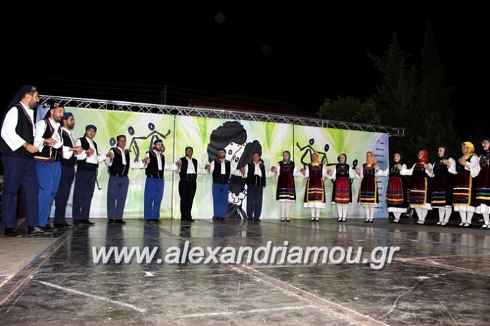 alexandriamou.gr_agiosalexandros20191IMG_4543