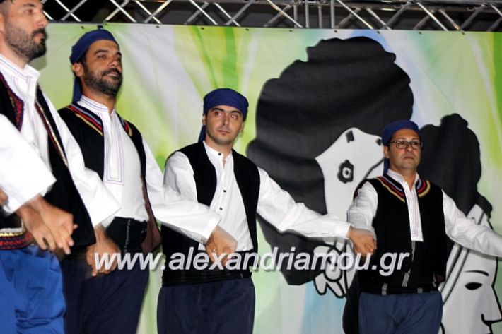 alexandriamou.gr_agiosalexandros20191IMG_4547