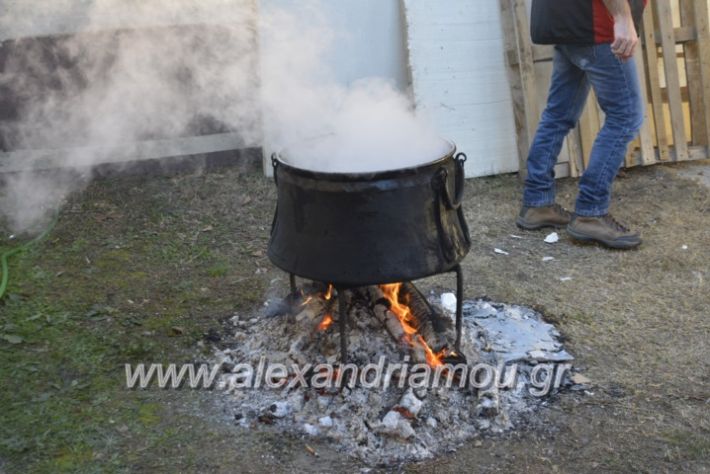 alexandriamou.gr_lonapgourounoxara2018018