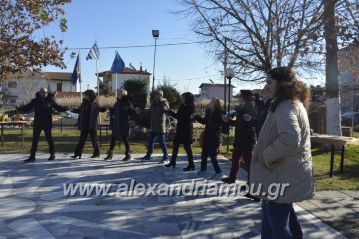 alexandriamou.gr_lonapgourounoxara2018048