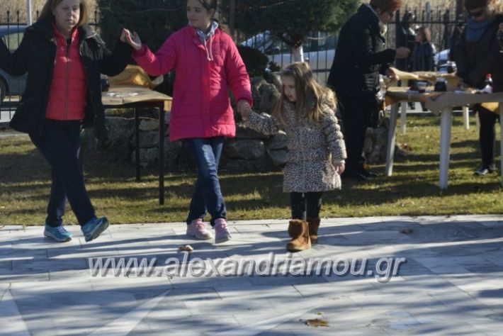 alexandriamou.gr_lonapgourounoxara2018117