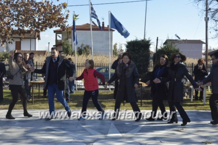 alexandriamou.gr_lonapgourounoxara2018153