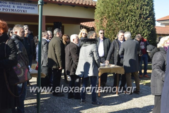 alexandriamou.gr_lonapgourounoxara2018217