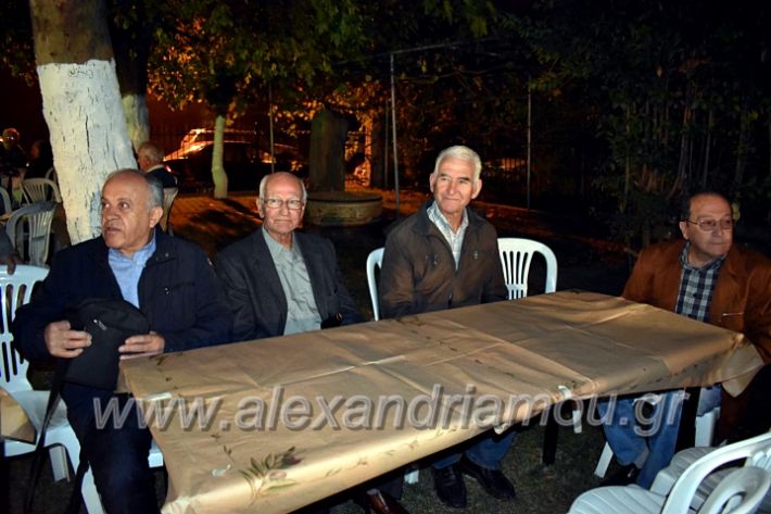 alexandriamou.gr_lonaptzikas2019DSC_0070