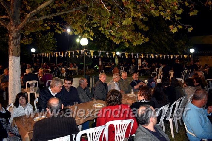 alexandriamou.gr_lonaptzikas2019DSC_0157