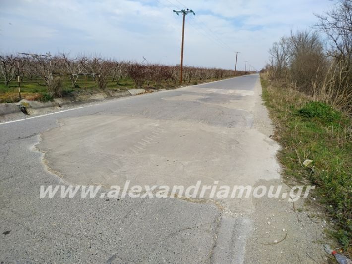 alexandriamou.gr_dromo1loutros12