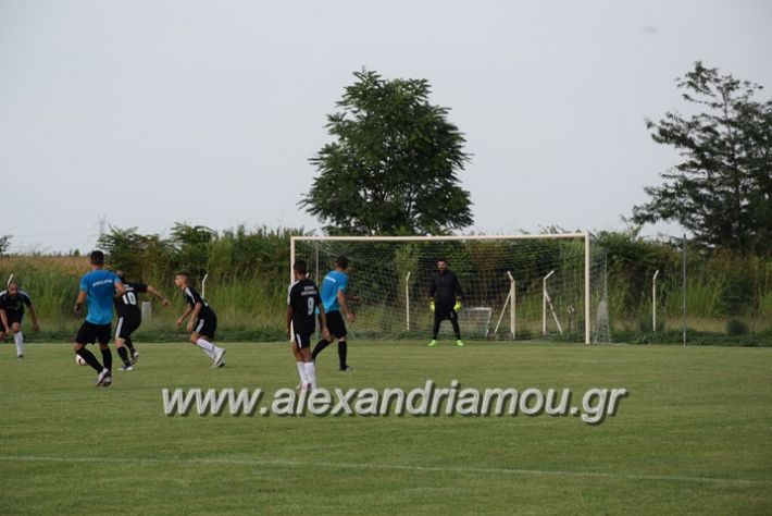 alexandriamou.gr_loutroi_asterasf1043