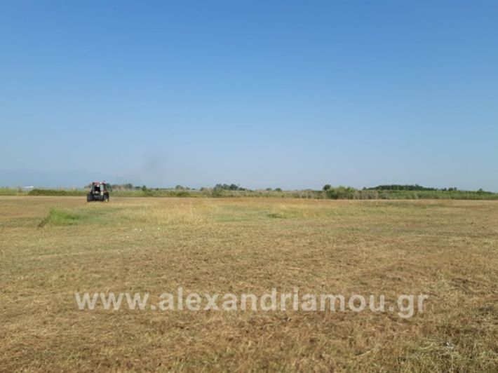 www.alexandriamou.gr_loutro20106717715_595876111335138_2003170339808467414_n