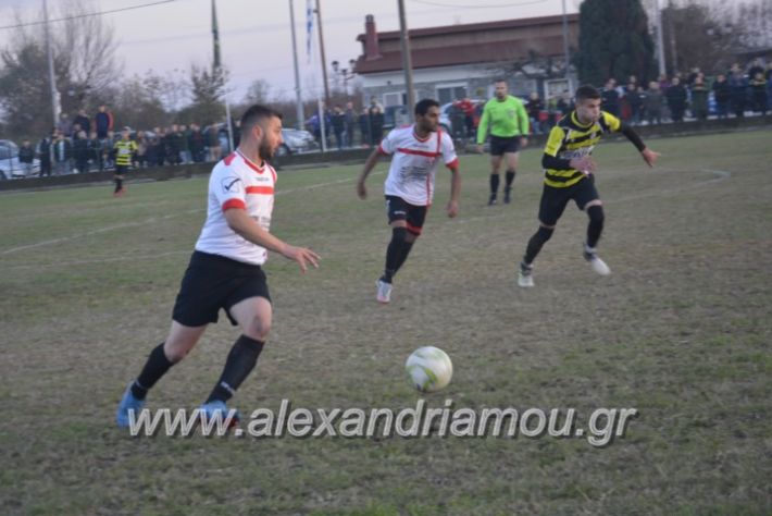 alexandriamou.gr_loutrioskampoxori2.12.18078