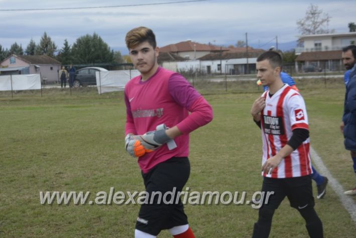 alexandriamou.gr_loutroskipelo28.11003