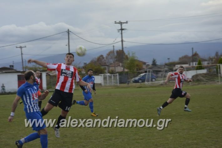 alexandriamou.gr_loutroskipelo28.11026