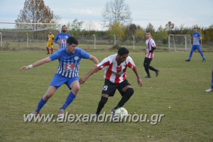 alexandriamou.gr_loutroskipelo28.11033