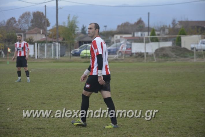 alexandriamou.gr_loutroskipelo28.11044