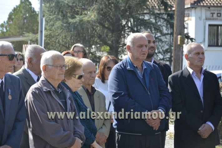 mahi_staurou_2017591