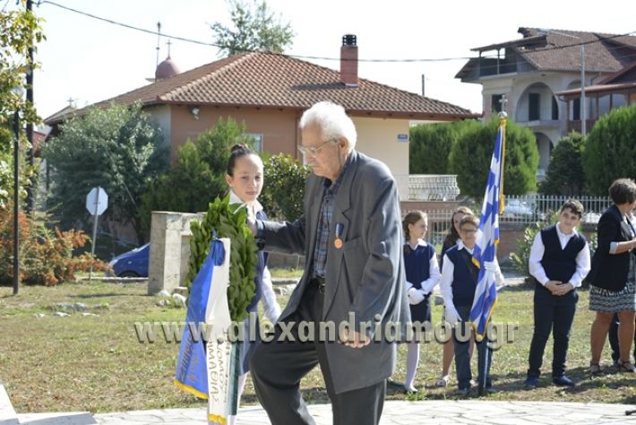 mahi_staurou_2017627