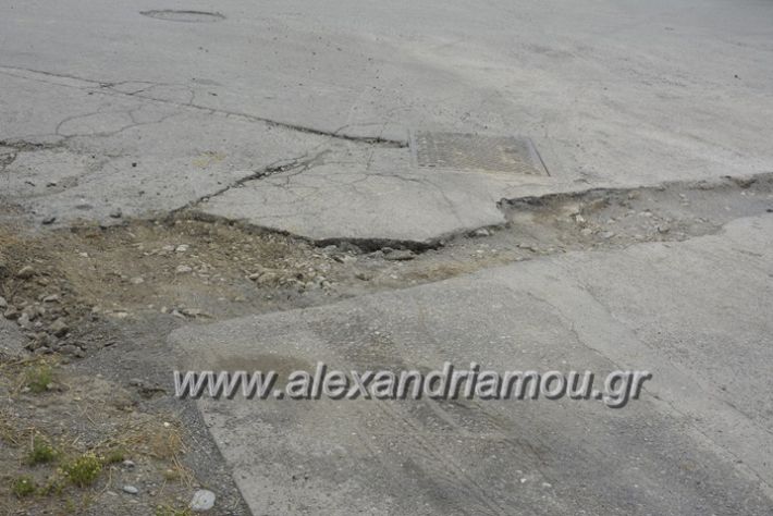 alexandriamou.gr_makedonomaxon_arxi004