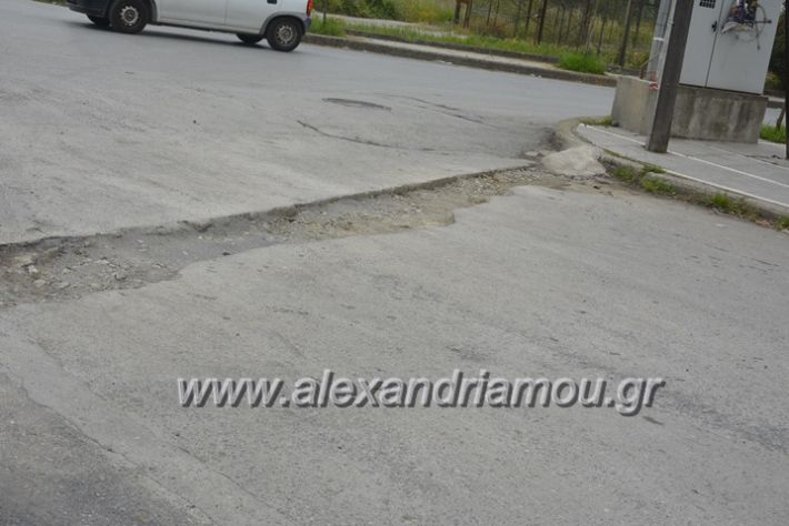 alexandriamou.gr_makedonomaxon_arxi005