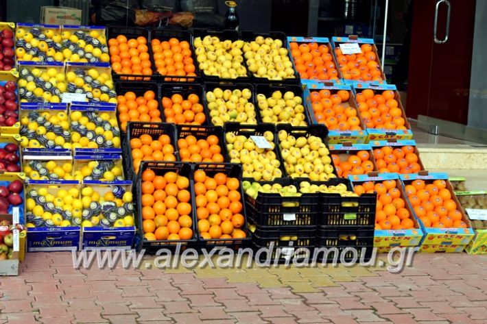 alexandriamou.gr_mandrasfroutaIMG_1494