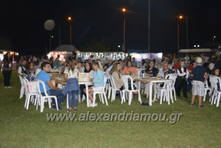 alexandriamou.gr_kampoxori2018036