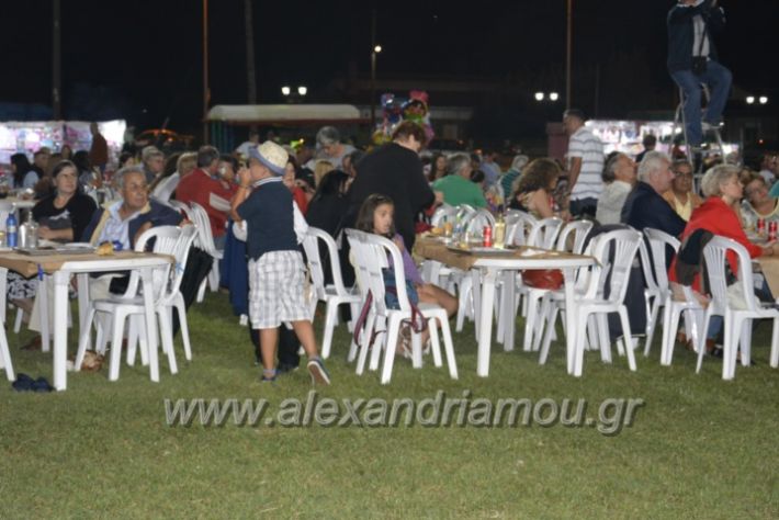 alexandriamou.gr_kampoxori2018037