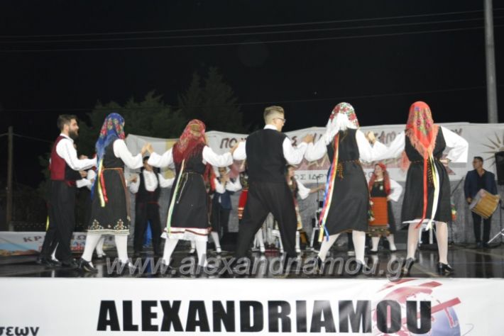 alexandriamou.gr_kampoxori2018187