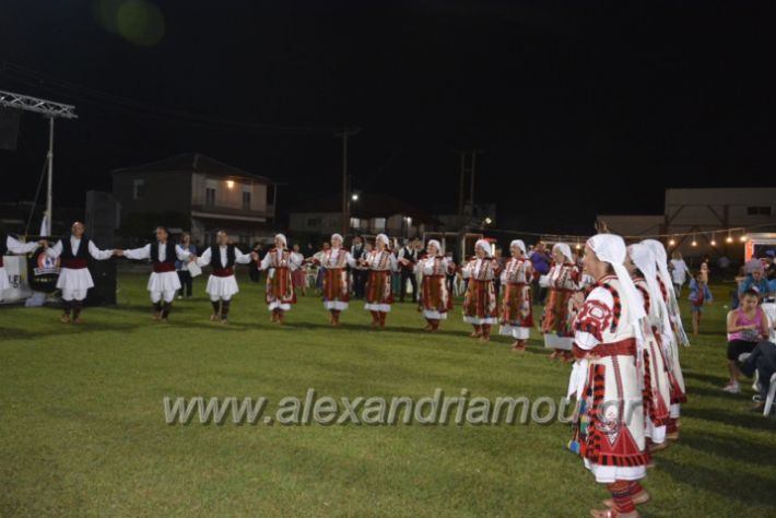 alexandriamou.gr_kampoxori2018255