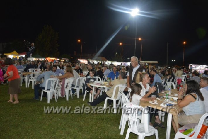 alexandriamou.gr_kampoxori2018260