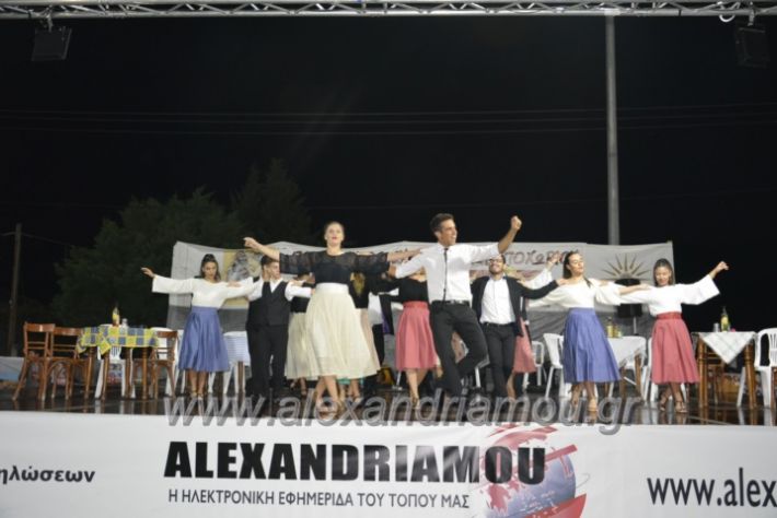 alexandriamou.gr_kampoxori2018274