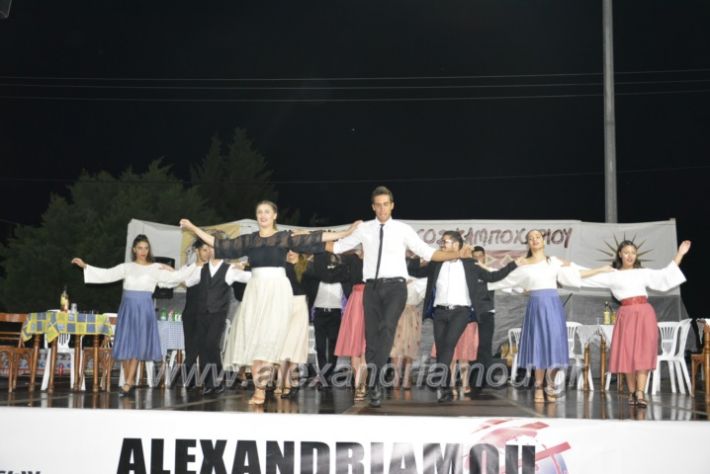 alexandriamou.gr_kampoxori2018277